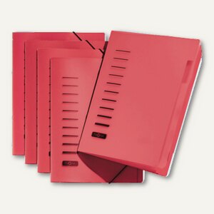 Ordnungsmappe PP
