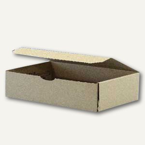 Klappdeckelbox 230x120x40mm
