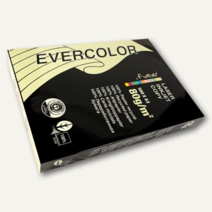 Papier EVERCOLOR PASTELL