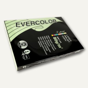 Papier EVERCOLOR PASTELL