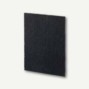 TrueHEPA Kohlefilter