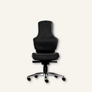 Bürodrehstuhl Ortholetic Balance ohne Kopfstütze