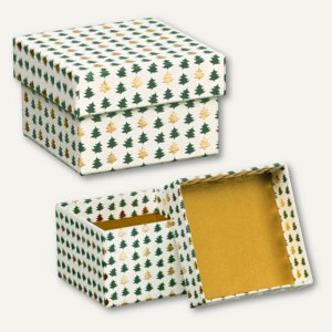 Magic Christmas Box