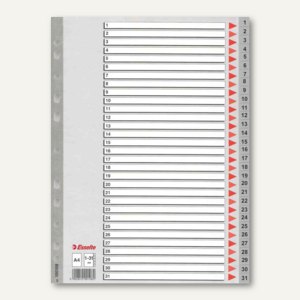 Artikelbild: Kunststoff-Register - Zahlen