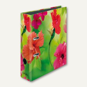 Motivordner maX.file Wake up Kolibri - DIN A4