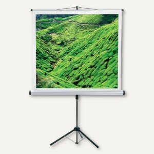 Stativ-Leinwand CombiFlex Budget 2.000 x 2.000 mm