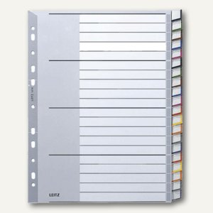Kunststoff-Register DIN A4