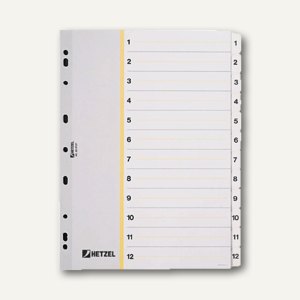 Artikelbild: Karton-Register