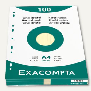 Karteikarten DIN A4