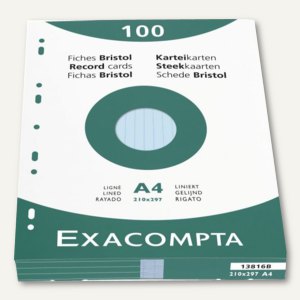 Karteikarten DIN A4