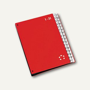 Pultordner DIN A4