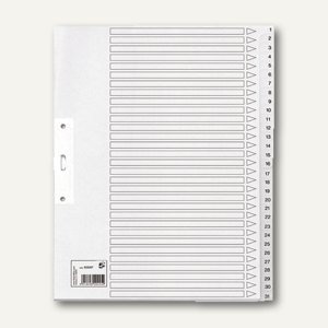 Kartonregister
